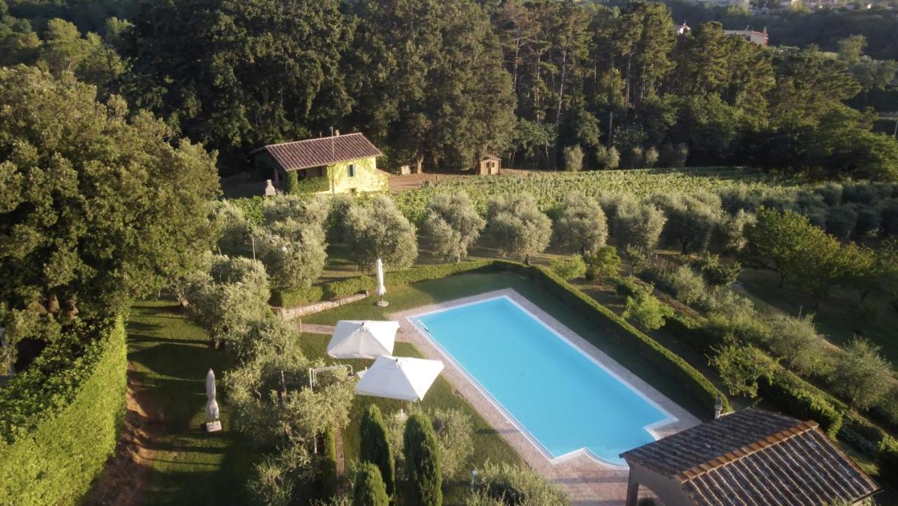 Podere Sant'Antonio Fauglia Ngoại thất bức ảnh