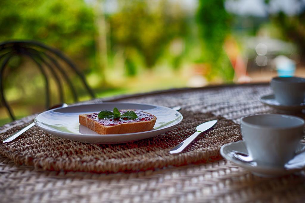 Podere Sant'Antonio Fauglia Ngoại thất bức ảnh