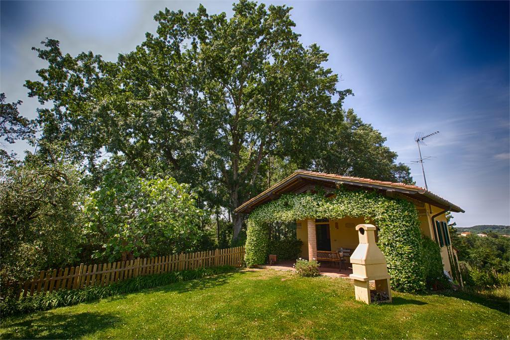 Podere Sant'Antonio Fauglia Ngoại thất bức ảnh