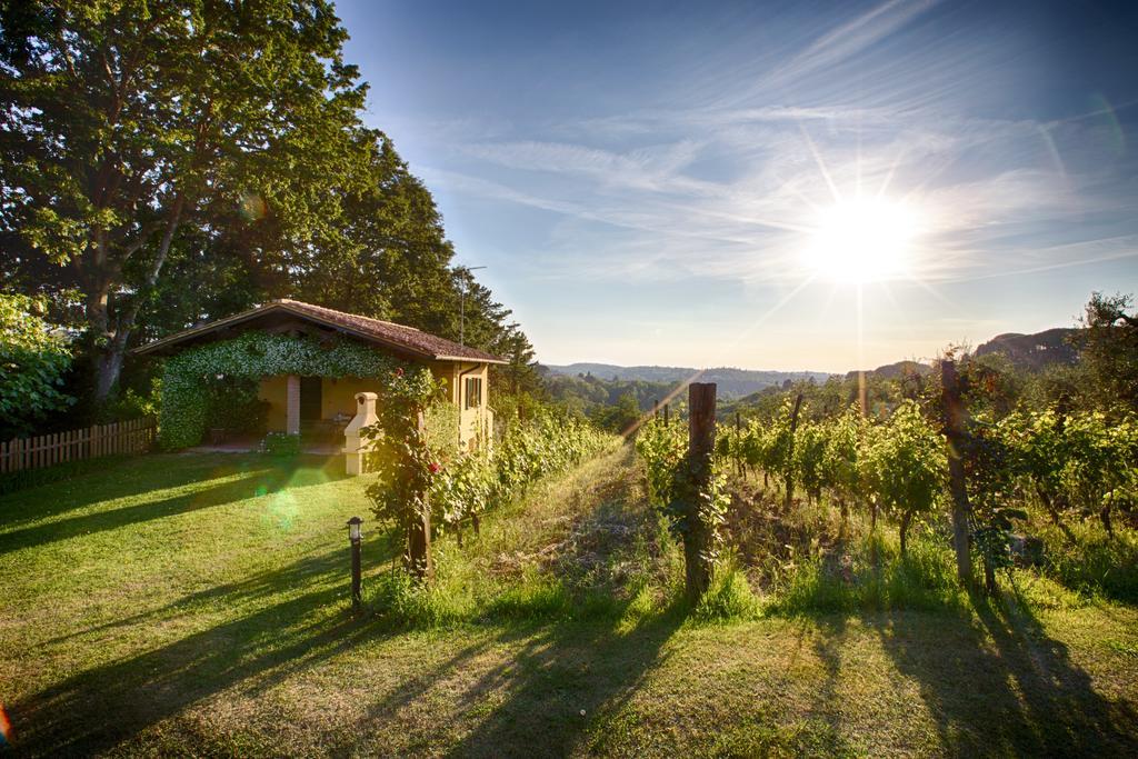 Podere Sant'Antonio Fauglia Ngoại thất bức ảnh