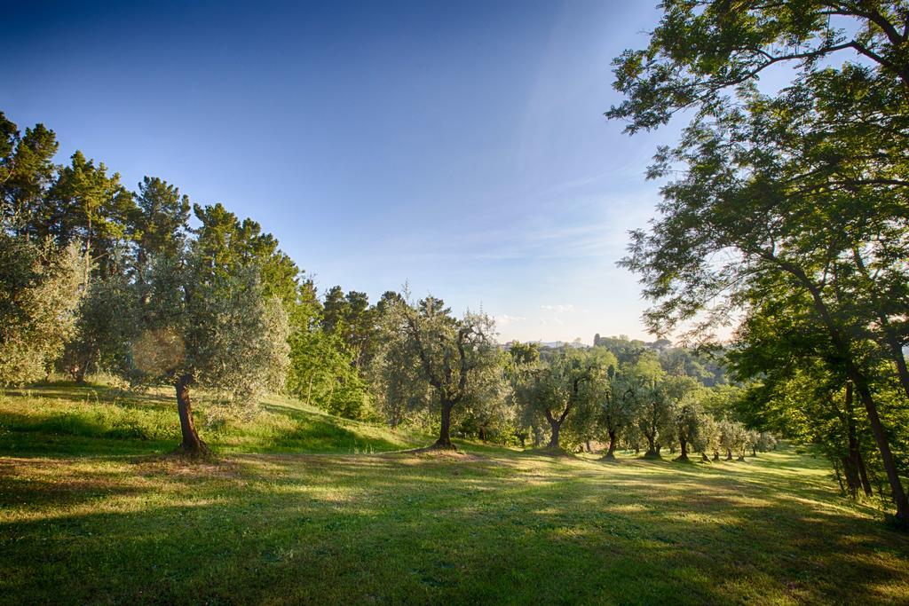 Podere Sant'Antonio Fauglia Ngoại thất bức ảnh